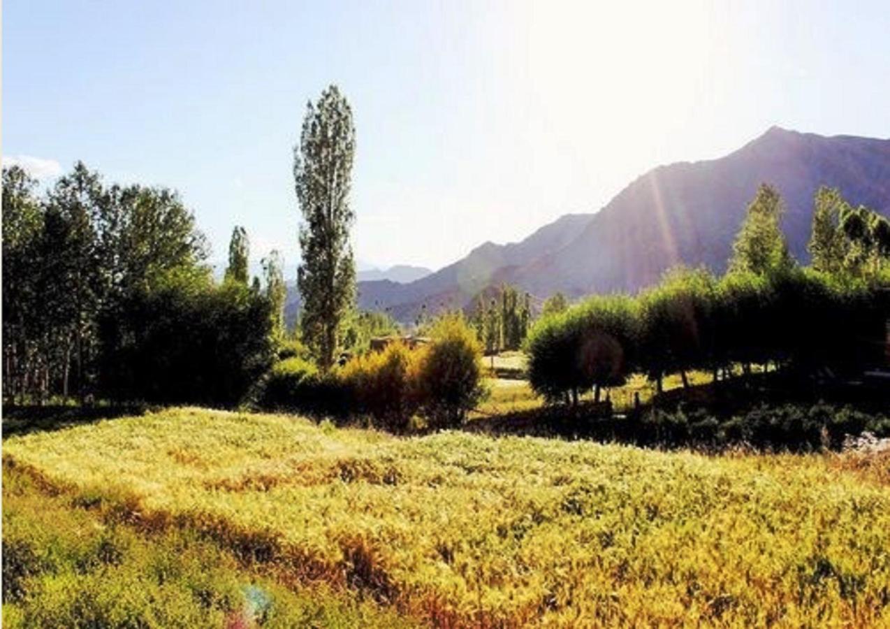 Hotel Himalayan Residency Ladakh Leh Zewnętrze zdjęcie